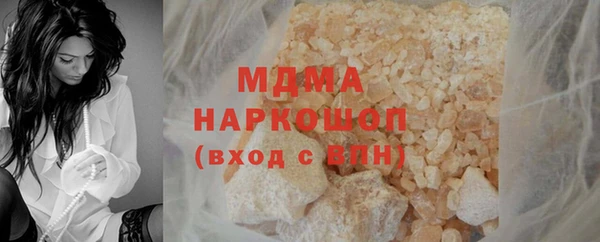 индика Богородицк