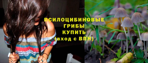 трава Верея