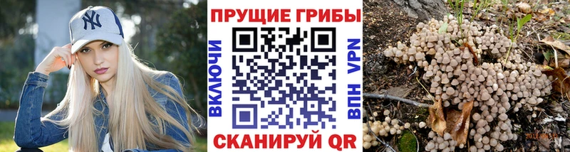 Псилоцибиновые грибы мухоморы  Полтавская 